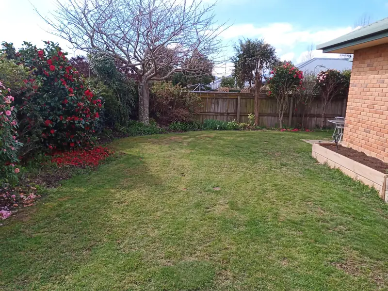 A back lawn in Nelson Tasman freshly mown