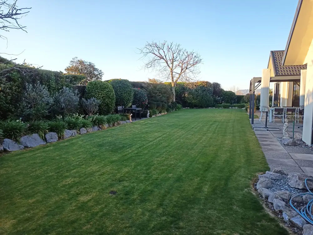 A long hedge-lined lawn in Nelson Tasman freshly mown